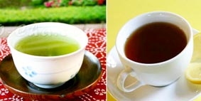 Trà xanh và trà đen giúp bảo vệ sức khỏe răng miệng