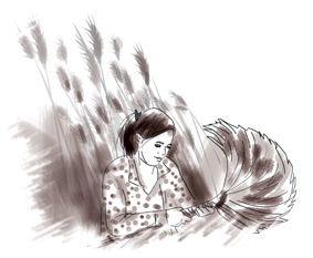 Lao xao bông sậy