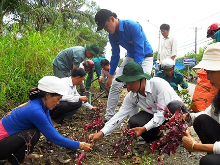 Chỉnh trang các tuyến đường đón Tết cổ truyền