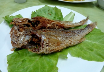 Cá đỏ dạ