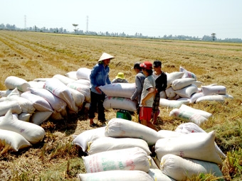 Sức bật xây dựng nông thôn mới ở Vĩnh Thạnh