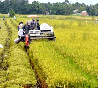 Tiếp tục đẩy mạnh công nghiệp hóa, hiện đại hóa nông nghiệp nông thôn phát triển bền vững