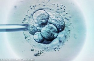 Phương pháp mới giúp tăng 50% cơ hội thực hiện IVF thành công