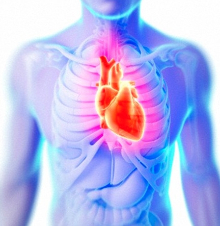 Phụ phẩm của glucose có hại cho cholesterol "tốt"