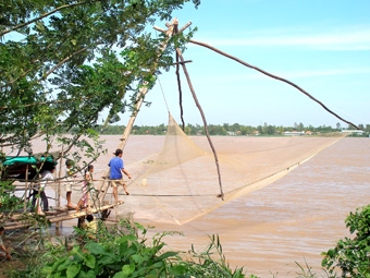 Cá mùa lũ ở An Giang