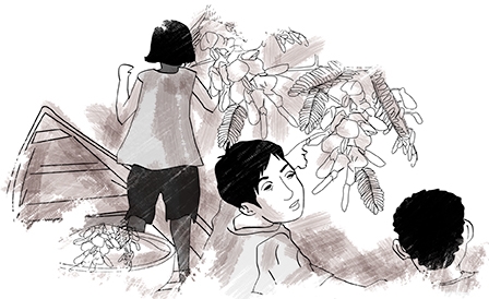 Mùa điên điển lại về