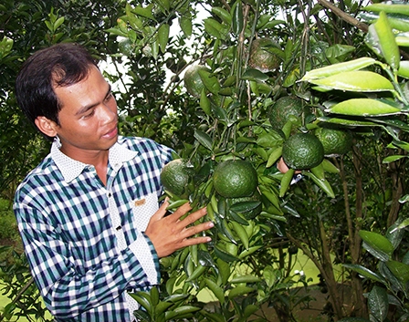 THANH NIÊN MIỀN TÂY 
BỨT PHÁ LÀM GIÀU