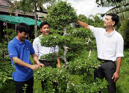 THANH NIÊN MIỀN TÂY 
BỨT PHÁ LÀM GIÀU