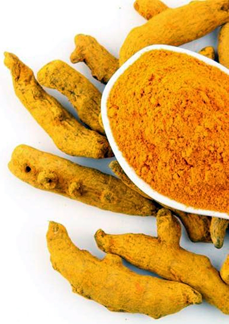 Dùng 1 gram nghệ/ngày 
giúp bảo toàn trí nhớ