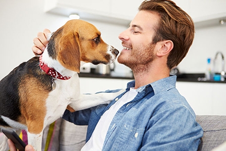 Chó có thể chẩn đoán ung thư tuyến giáp