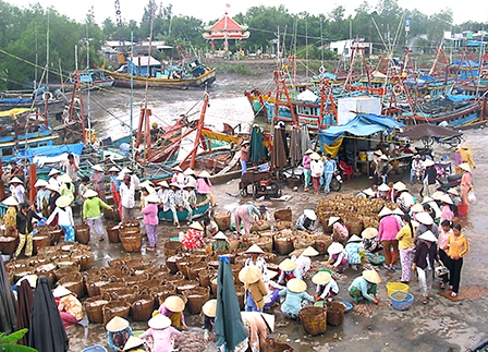 Bước chuyển 
ở thị trấn vùng biển