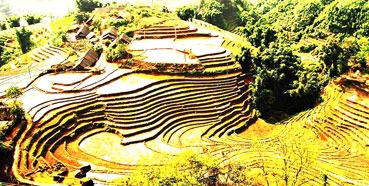 Ngắm ruộng bậc thang Sa Pa mùa nước đổ