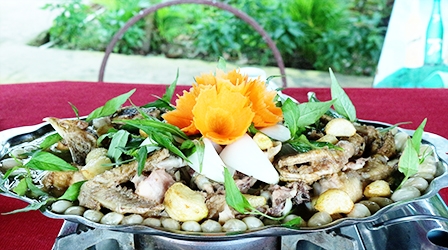 Gà um dâu Hạ Châu