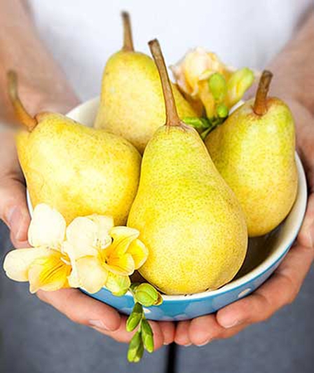 Những lợi ích sức khỏe bất ngờ từ quả lê