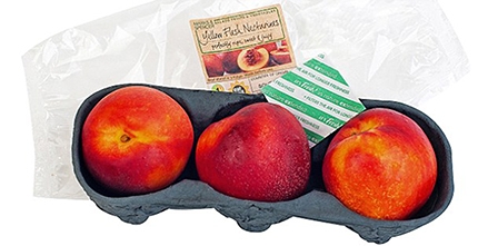Túi bảo quản rau quả an toàn Fresh