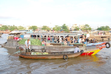 Chọn tour du xuân