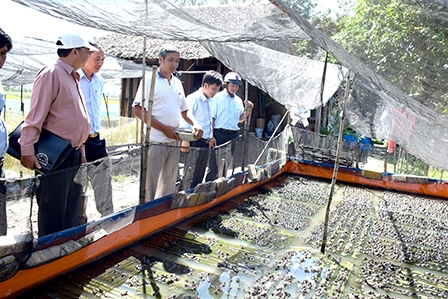 Trung An xây dựng 
“xã nông thôn mới” bền vững