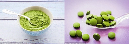 Tảo lục Chlorella có khả năng chống say xỉn