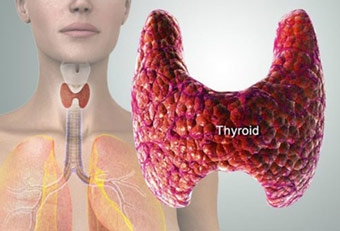 7 thực phẩm bổ trợ và tăng cường chức năng tuyến giáp
