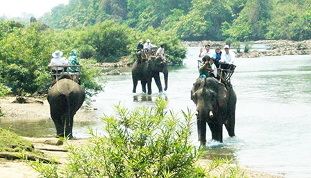 Cả nhà du xuân