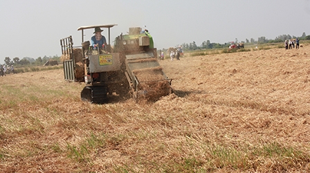 Tăng độ màu mỡ cho đất từ rơm, rạ