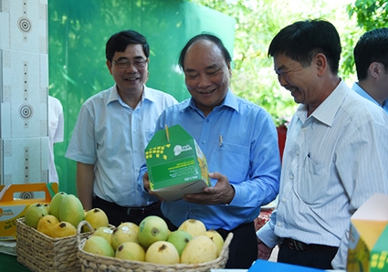 THỦ TƯỚNG KHẢO SÁT MỘT SỐ MÔ HÌNH NÔNG NGHIỆP TẠI ĐỒNG THÁP