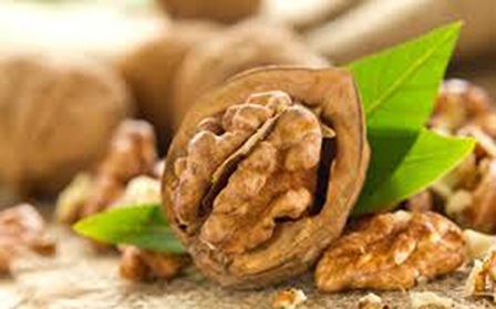 Ăn quả óc chó giúp phụ nữ 

lớn tuổi chống sa sút thể chất
