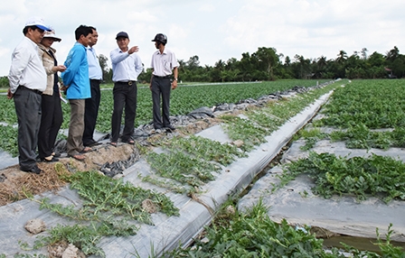 Thực hiện nhiều giải pháp hoàn thành
chỉ tiêu nông thôn mới