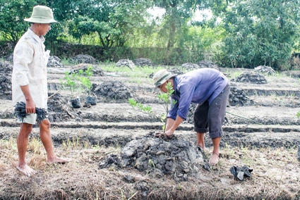 Cần quản lý, sử dụng hiệu quả tài nguyên nước