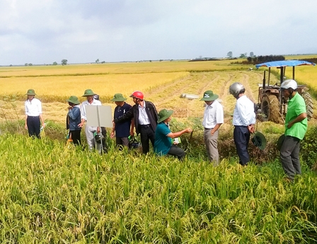 ĐƯA OM  ĐẾN ĐÔNG NAM BỘ VÀ NAM TRUNG BỘ