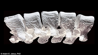 Vật liệu in 3D hỗ trợ tái tạo xương một cách tự nhiên