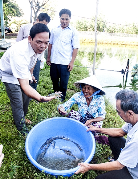 Vụ tôm nước lợ 2016 ở Sóc Trăng: Thành công nhờ áp dụng khoa học công nghệ