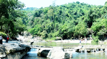 “Nàng tiên” giữa đại ngàn