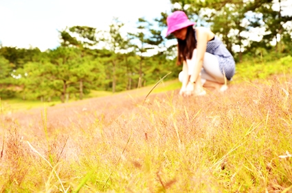 Thảo nguyên hồng ban mai