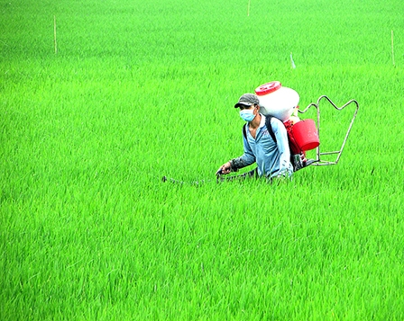 Thạnh Lộc: Dồn sức xây dựng nông thôn mới