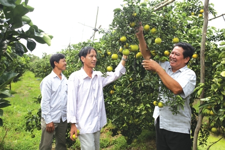 Biến nghị quyết của Đảng thành hiện thực