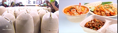 Bao bì thực phẩm thân thiện 

môi trường