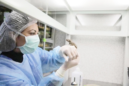 Sắp có thuốc làm chậm tiến trình lão hóa