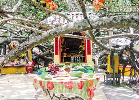 Tính linh hoạt trong 
lễ cúng miễu ở Cần Thơ