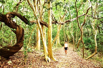 72 giờ ở thiên đường biển