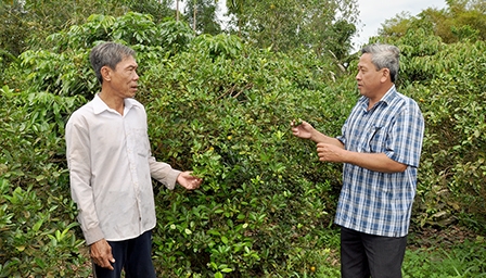 Các cấp ủy Đảng huyện Phong Điền Sẵn sàng tiến hành đại hội chi bộ