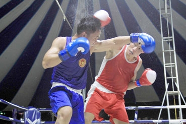 Hào hứng với Cúp các CLB Boxing toàn quốc