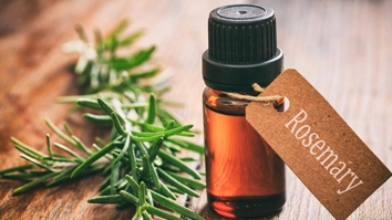 Tinh dầu hương thảo giúp trẻ em tăng cường trí nhớ