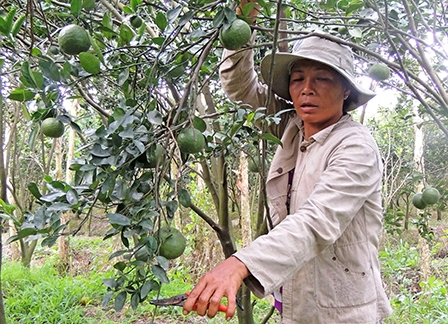 “Giải bài toán vốn”
trong xây dựng nông thôn mới