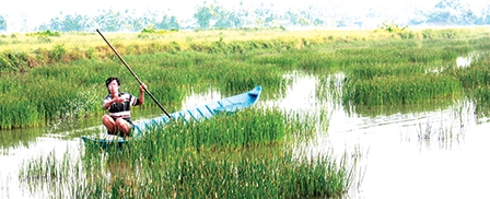 Kiên Giang Nông dân lao đao vì không 
có nguồn nước mặn nuôi tôm