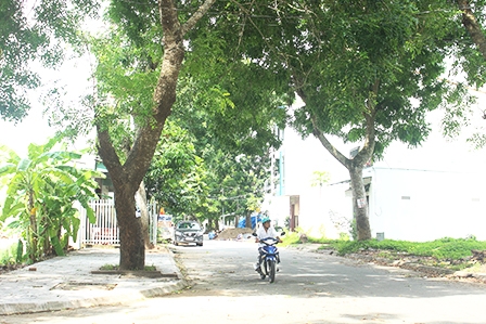 Thị trường bất động sản Cần Thơ
Giá tăng theo nhu cầu thực tế