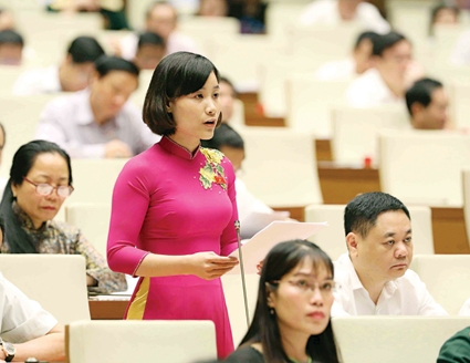 Quốc hội thảo luận, góp ý 2 dự án Luật