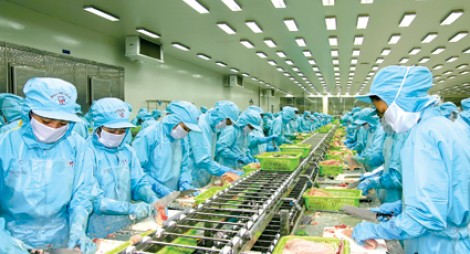 IDI vươn tầm chinh phục thị trường mới
