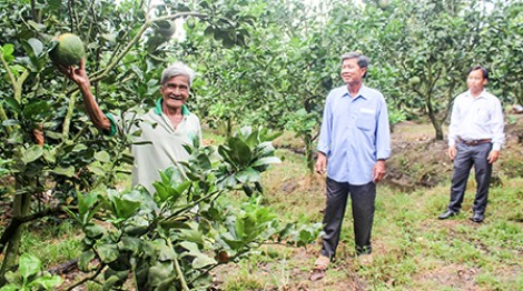 Gần dân