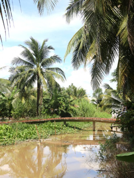 Hồi sinh một dòng kênh ở Thới Lai